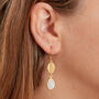 Moonstone Gold Plated Silver Coffee Bean Drop Earrings, thumbnail 3 of 9