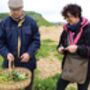 Vegan Coastal Foraging With Sea Swim And Beach Hut Feast For One, thumbnail 3 of 6