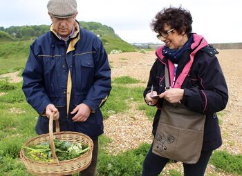 Vegan Coastal Foraging With Sea Swim And Beach Hut Feast For One, 3 of 6