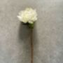 Artificial White Peony Stem, thumbnail 6 of 7