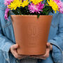 50th Birthday Personalised Plant Pot, thumbnail 1 of 6