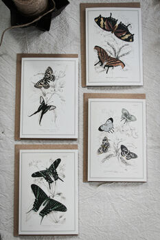 Colour Butterfly Greeting Cards – Set Of Four Vintage A6 Designs, 11 of 11