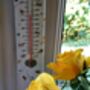 Bee Print Thermometer, thumbnail 3 of 6