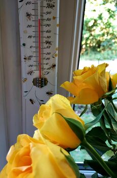 Bee Print Thermometer, 3 of 6