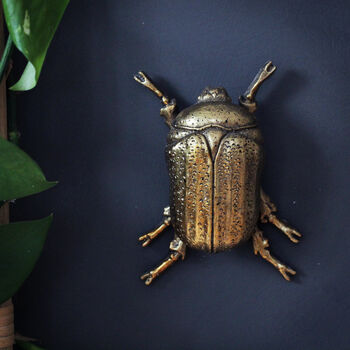Gold Beetle Wall Ornaments, 2 of 10