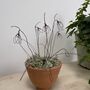 Wire Snowdrops In Handmade Egg Cup Shape Terracotta Pot, thumbnail 5 of 7