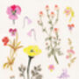 Wildflower Floral Art Print, thumbnail 5 of 5