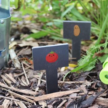 Printed Fruit And Veg Slate Plant Markers, 3 of 7