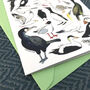 Coastal Birds Of Britain Art Blank Greeting Card, thumbnail 8 of 11