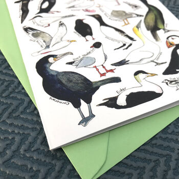 Coastal Birds Of Britain Art Blank Greeting Card, 8 of 11