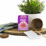 Grow Your Own Birth Flower Choose Your Month, thumbnail 1 of 12