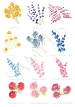 Sample Pack Original Botanical Wedding Stationery, 2 of 10