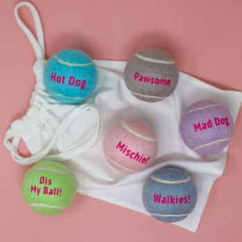 Fun Message Dog Balls In A Bag, 8 of 8