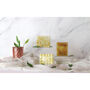 Marigold Deluxe Indian Soap Bar Gift Set, thumbnail 2 of 10