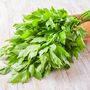 Herb Plants, Lovage, Full Plants In 9cm Pots, thumbnail 1 of 5