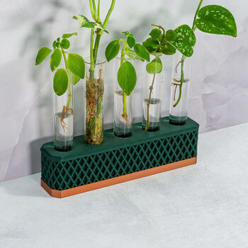 Propagation Station | Copper And Forest Green, 2 of 4