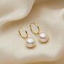 Large Pearl 9ct Gold Hoop Earrings, thumbnail 2 of 5