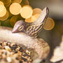 Personalised Round Hanging Garden Bird Feeder, thumbnail 4 of 8