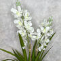 White Vanda Orchids Plants In Blue Pot Faux Flower Arrangement, thumbnail 2 of 3
