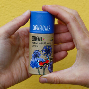 British Wild Flower Seeds For Bees And Butterflies. Set Of Five Seedball Tubes, 4 of 10
