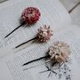 Pippa Dried Straw Flower Wedding Bridal Hair Pins, thumbnail 5 of 6