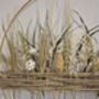 Pasture, Dried Flower Hoop, thumbnail 4 of 5