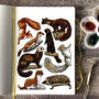 Medium Mammals Of Britain Watercolour Postcard, thumbnail 11 of 11