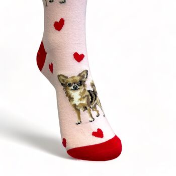 I Love Chihuahuas Socks Novelty Gift, 4 of 6
