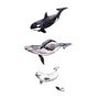 Whale Art Print On Recycled Rag Paper, thumbnail 2 of 2