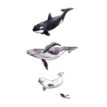 Whale Art Print On Recycled Rag Paper, 2 of 2