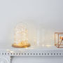 Glass Bell Jar With Copper Micro Fairy Lights, thumbnail 4 of 5
