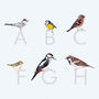 Alphabetical British Garden Bird Print A Z, thumbnail 3 of 4