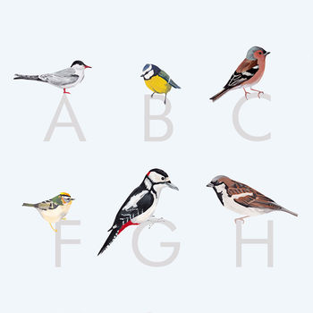 Alphabetical British Garden Bird Print A Z, 3 of 4
