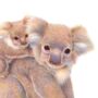 Illustrated Children's Wall Art Print Koala And Cub, thumbnail 2 of 4