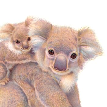 Illustrated Children's Wall Art Print Koala And Cub, 2 of 4