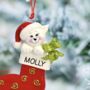 Personalised Pet Christmas Decoration, thumbnail 2 of 4