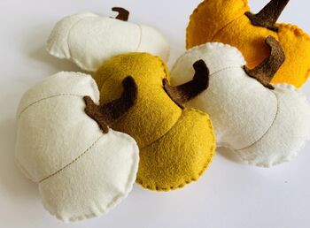 Autumn Felt Pumpkin Garland, 4 of 4
