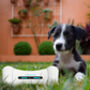 Smart Interactive App Based Dog Toy, thumbnail 1 of 4