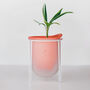 Flo, Self Watering Plant Pot In Coral + Mist, thumbnail 1 of 6