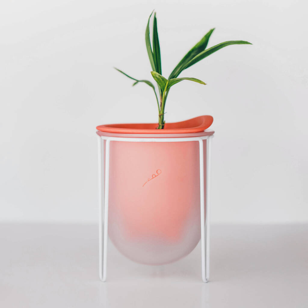 Flo, Self Watering Plant Pot In Coral + Mist, 1 of 6
