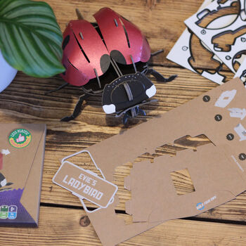Build Your Own Personalised Ladybird Kit, 5 of 12