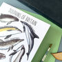 Dolphins Of Britain Greeting Card, thumbnail 12 of 12