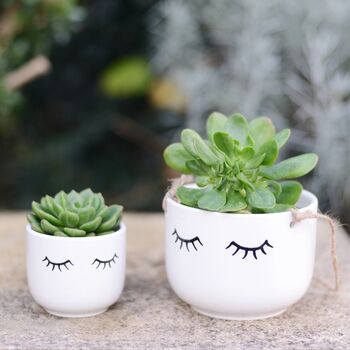 Eye Shut Planter With A Succulent, 3 of 4