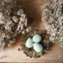 Box Of 60 Light Green Quails Eggs, thumbnail 3 of 11