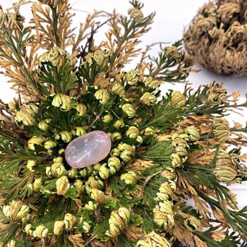 Resurrection Plant With Crystal, 3 of 3