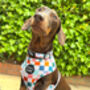 Chunky Check Dog Collar, thumbnail 6 of 10