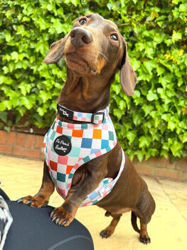 Chunky Check Dog Collar, 6 of 10