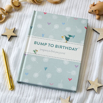 'Bump To Birthday' Journal, 2 of 12