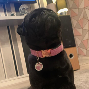 Rosie's Pink Harris Tweed Dog Collar, 6 of 7