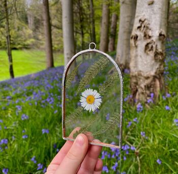 Pressed Daisy And Fern Glass Flower Frame, 2 of 3